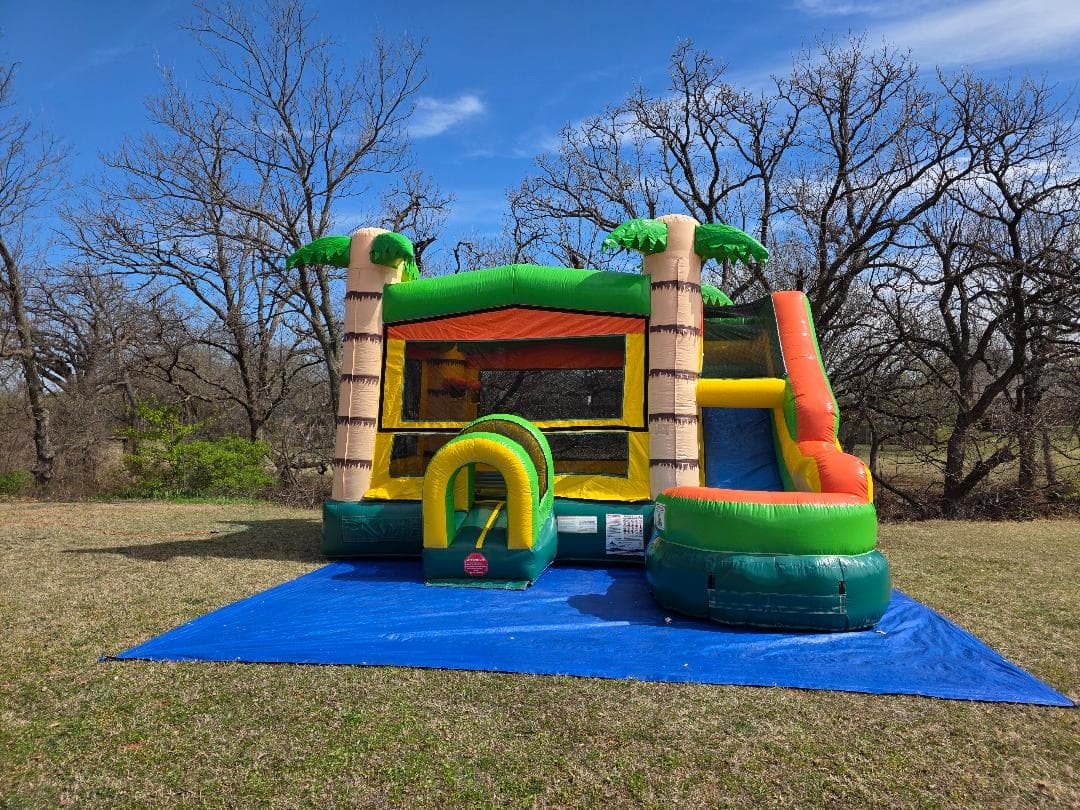 Tropical Paradise Combo Dry — photo 1